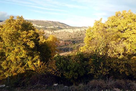 Caserío Bojadillas - Entorno